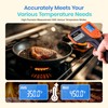 Etekcity Infrared Thermometer Laser Temperature Gun 774, Meat Food Candy