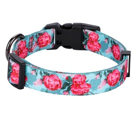 Rhea Rose Girl Dog Collars Summer Floral Rose Print, Female Flower Collar, Turquoise, Small