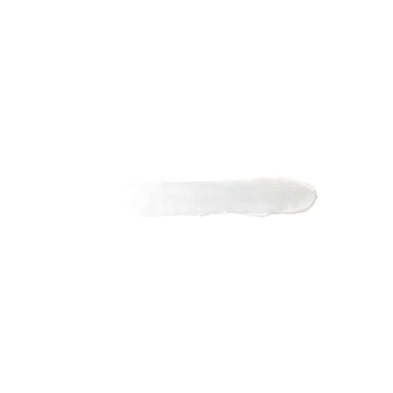 Burt's Bees 100% Natural Moisturizing Lip Balm, Mango with Beeswax