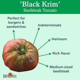 Burpee 'Cherokee Purple' Heirloom | Large Slicing Tomato | Rich Flavor