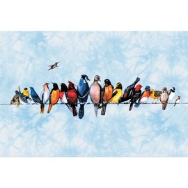 Tree-Free Greetings 12 Pack All Occasion Notecards,Eco Friendly,Made in USA,100% Recycled Paper, 4"x6",Chorus Line (FS66506)