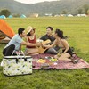 Picnic Bag Foldable Picnic Basket Insulated Comfortable Handle Ice Pockets
