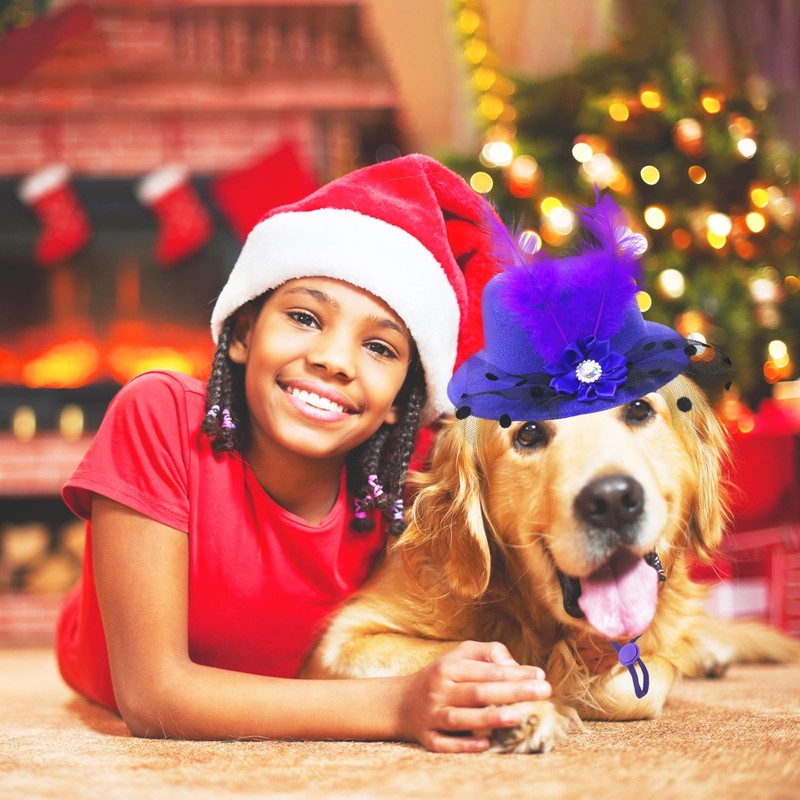 ComiMag Dog Hat Cat Hat Rabbit Hat Fascinator Hat Tea