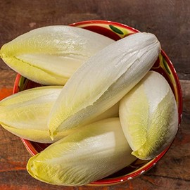 Endive Seeds - Witloof Chicory - 0.25 Oz ~6,375 Seeds - Cichorium endivia - Farm & Garden Vegetable Gardening & Microgreens Seed - Non-GMO, Heirloom, Open Pollinated, Annual