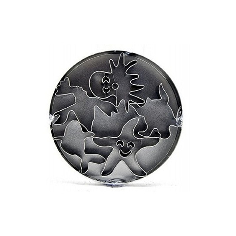 Staedter 5 Sea Animals Cookie Cutter Set, Tinplate Stainless Steel,