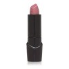Wet n Wild Labial Acabado De Seda Con Aloe Vera