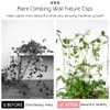 LUCKJUJU 100 Pcs Plant Climbing Wall Fixture Clips Self-Adhesive Hook