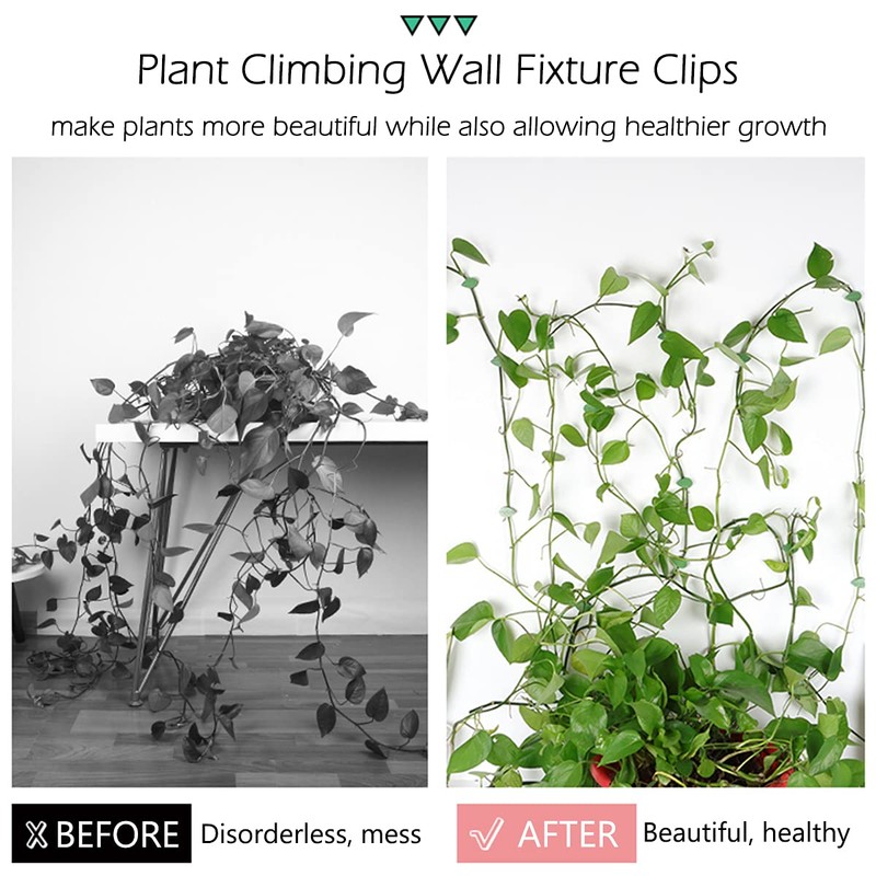 LUCKJUJU 100 Pcs Plant Climbing Wall Fixture Clips Self-Adhesive Hook