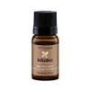 Treatments by Kitoko Oil Treatment 10ml & 90ml TBC 10ml