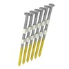 Grip-Rite GR301, 21-degree RH Plastic Strip Collated Fasteners, 3" x
