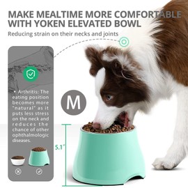Fluffydream Elevated Dog Bowls, Prevention of Vertebrae Disease, Non-Slip With Stainless Steel Bowl, High Capacity Food Bowls (MintGreen, M (540ML / 2 Cups))