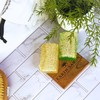 Earth Sabun Natural Handmade Pumpkin Fiber Aloe Vera Loofah for