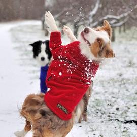 Hotterdog Jumper LARGE RED