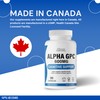 Vibrant Naturals Alpha GPC 99% Choline Brain Supplement for Acetylcholine,