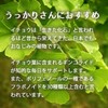 Lipsa T-600-3 Ginkgo Biloba Leaf + DHA + EPA Grain,