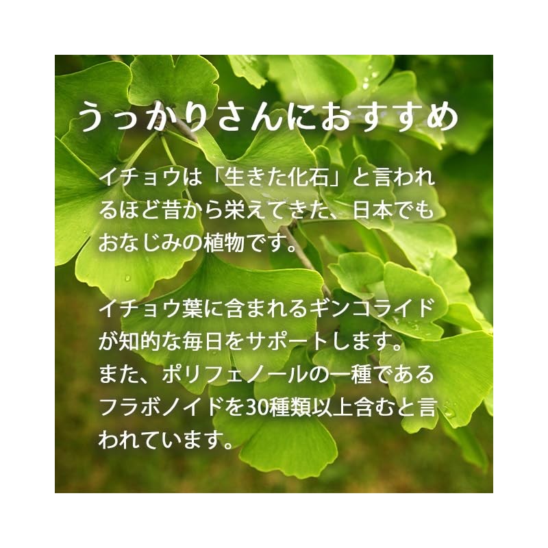 Lipsa T-600-3 Ginkgo Biloba Leaf + DHA + EPA Grain,