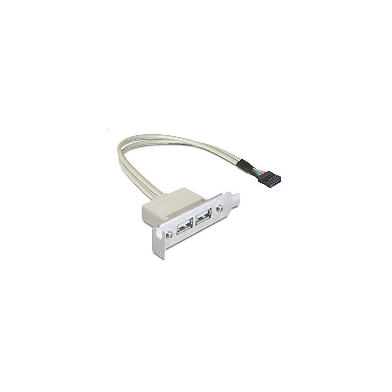 DeLOCK Slot bracket - USB-Kabel - USB Typ A, 4-polig