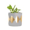 Sass & Belle Mini Dina Gold Dip Cement Planter