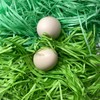 200 g Easter Grass Two Different Green Easter Nest Filling