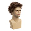 Baruisi Mens Short Brown Wig Natural Curly Fluffy Hair Wig