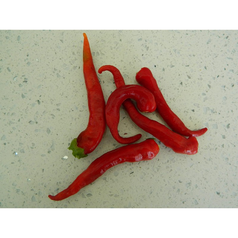 Kashmiri Mirch Chilli Seeds - 10 Fresh Seeds - Great