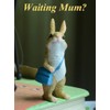 Gemmia Miniature Fairy Garden Rabbit Statues- Mini Schoolbag Rabbit(See Size)