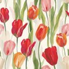 Tulip Floral Shelf Liner Contact Paper Peel and Stick Bright