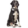 HUNTER Nancy Dog Scarf Grey One Size