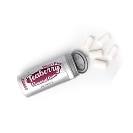 SUGAR FREE Teaberry Gum, 12 pack (20 pieces per container)