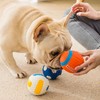 Dog Squeaky Toys, Dog Ball Chew Toys for Aggressive Chewers,
