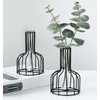 2 Pcs Black Flower Vase with Metal Frame, Clear Glass