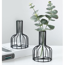 2 Pcs Black Flower Vase with Metal Frame, Clear Glass Test Tube Vases, Small Bud Vases for Wedding Decoration, Table Decoration
