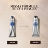 L'OCCITANE Crema de manos de karité (Karité) de 150 ml,