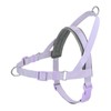 Wisedog No Pull Dog Harness - Adjustable Webbing Dog Halter