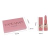 Set De 6 Lápices Labiales Mate, Colores Naturales Fáciles De