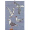Ekelund - Måsar Tea Towel 40 x 60 cm 100%