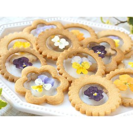 Uzunohana Dried Edible Flowers <Eat Oshiba > Viola 20 Count (White)