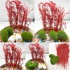 Cayway Scenics Grass Tuft, DIY Miniature Static Grass Tuft, Model