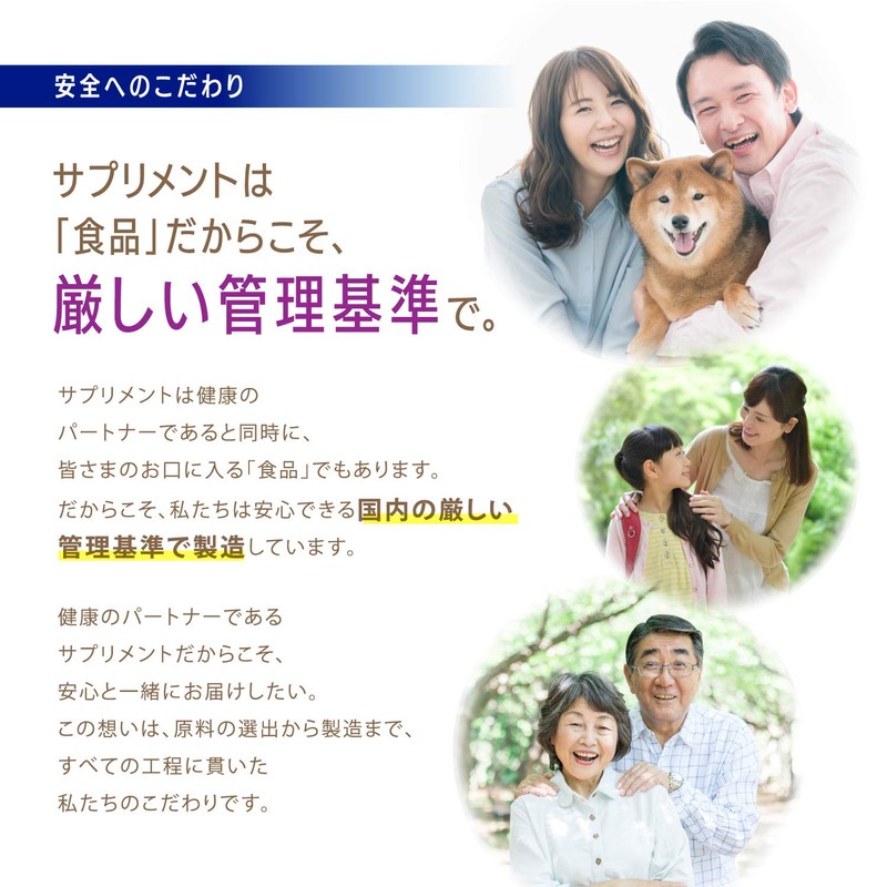 ホスファチジルセリン PS サプリメント OneLife PS100 30日分 3袋セット