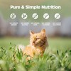 ZEAL New Zealand Wet Cat Food – High Protein, Grain-Free