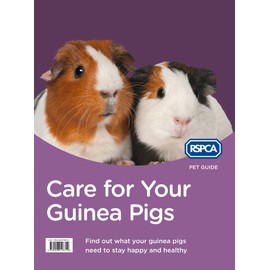 RSPCA Pet Guide: Care For Your Guinea Pig [New Edition]