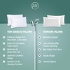 Rohi Luxury Box Pillows 2 Pack Hotel Quality with Extra
