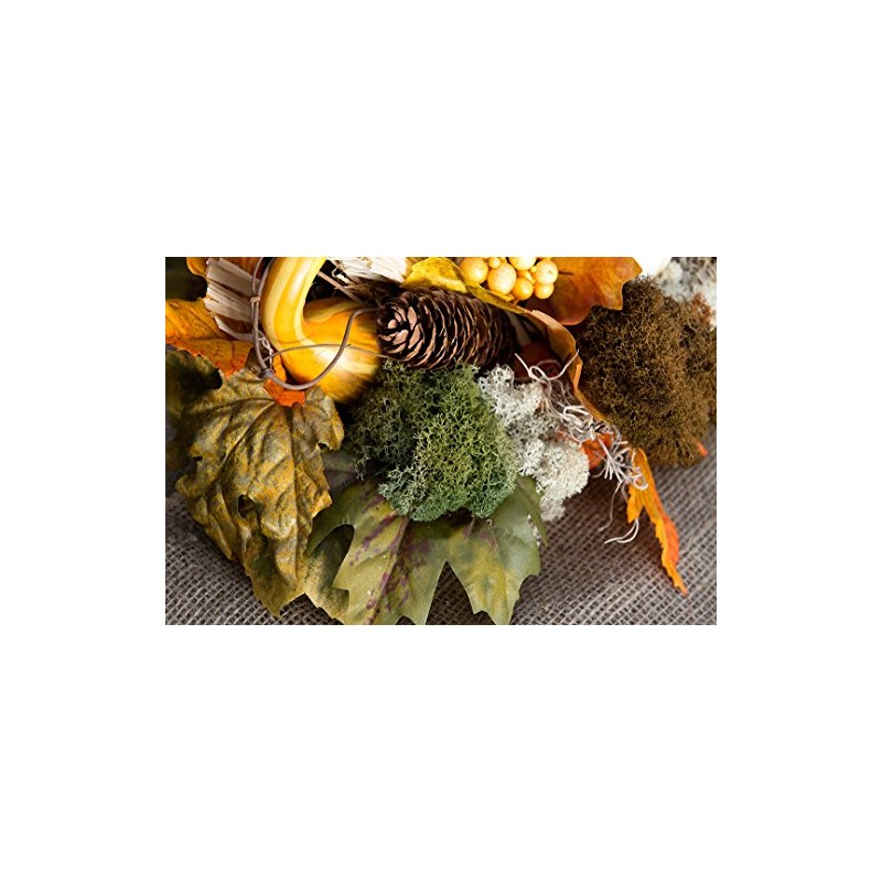 SuperMoss Super Moss (25116 Reindeer Moss Preserved, Moss Green, 2oz