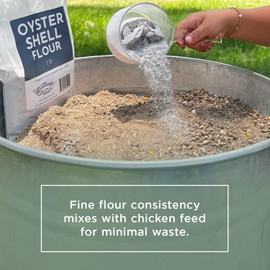 Southside Plants Oyster Shell Flour - High Calcium Supplement for Chickens, Amphibians, Reptiles, Mammals, Invertebrates & Birds - Harvest Delight Chicken Scratch | 1 lbs (1 lb)