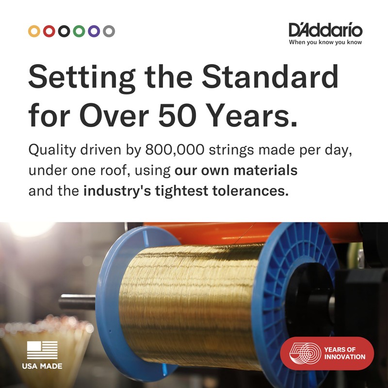 D'Addario Guitar Strings - Phosphor Bronze Acoustic Guitar Strings -