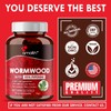 Wormwood 205mg Extract Powder 60 Capsule Vegan Safe, Non-GMO Made