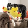 Kong Pollo Scruffs Med/Gde