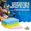 DR HYGI PopUp Sponges, Natural Cellulose Sponge, Super Absorbent Sponge