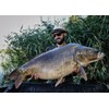 Tandem Baits SuperFeed Red Garlic Attractant Carp Fishing Without Effort,