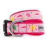 The Worthy Dog Birthday Collar - Festive Pink Dog Collar